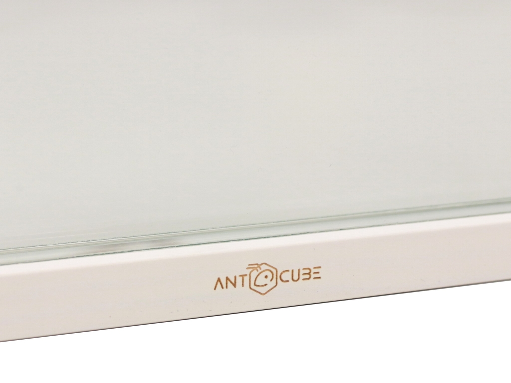ANTCUBE - Ameisenfarm - L - 60x30 - Wand